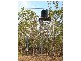 34 Bilby Road, Virginia NT 0835