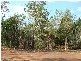 34 Bilby Road, Virginia NT 0835