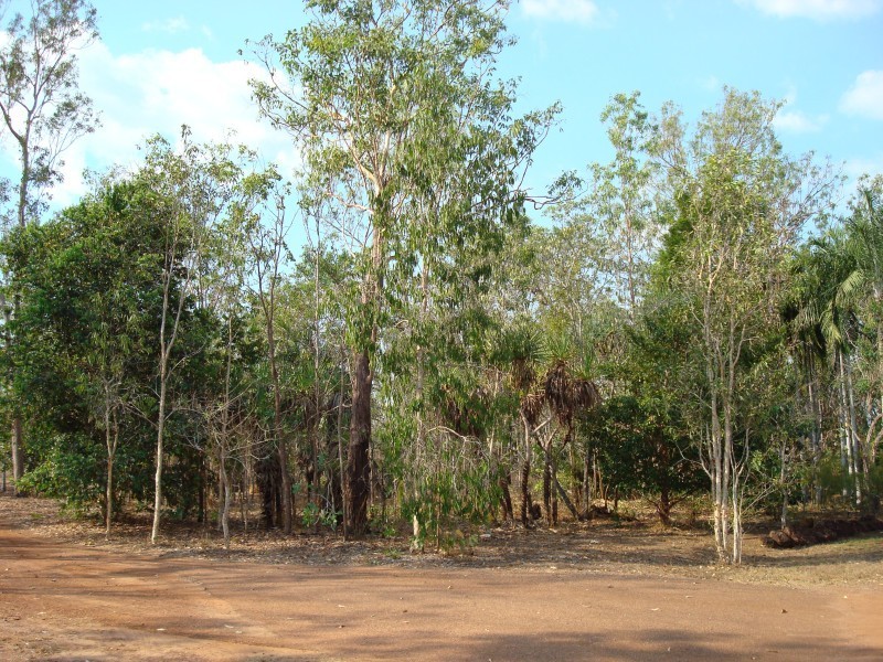 34 Bilby Road, Virginia NT 0835