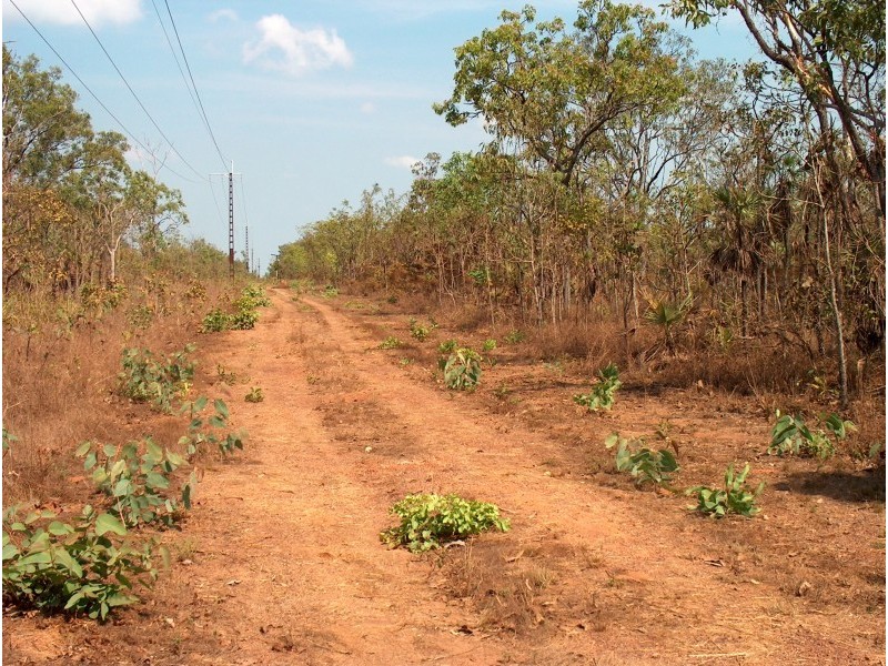 3668 Fog Bay Road, Dundee Forest NT 0840