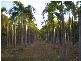 395 WHITEWOOD RD, Howard Springs NT 0835