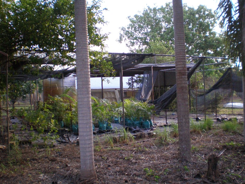 395 WHITEWOOD RD, Howard Springs NT 0835