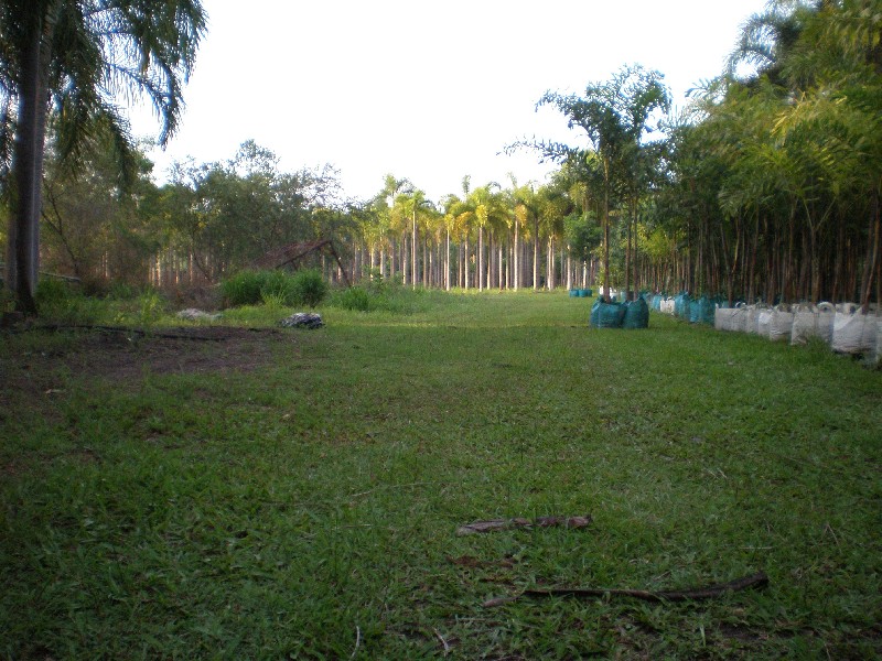 395 WHITEWOOD RD, Howard Springs NT 0835