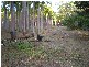 395 WHITEWOOD RD, Howard Springs NT 0835