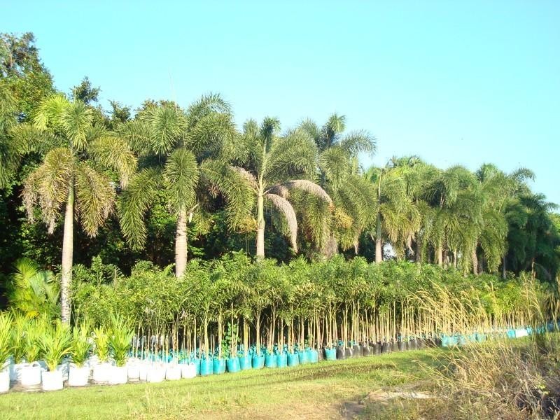 Howard Springs NT 0835