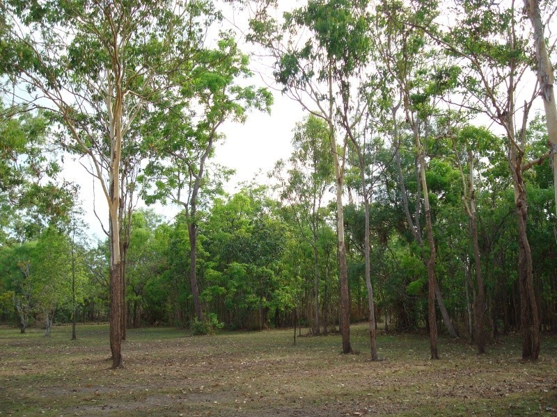 6 MANGO RD, Howard Springs NT 0835