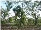 3402  DANIEL CIRCUIT, Herbert NT 0836