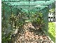 59 DOMINICK ROAD, Humpty Doo NT 0836
