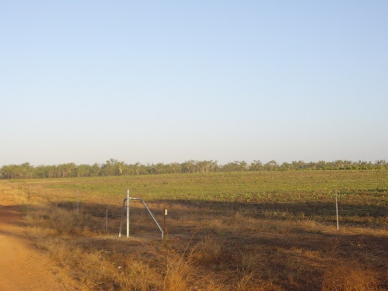 Lot 3010 Scott Road, Batchelor NT 0845