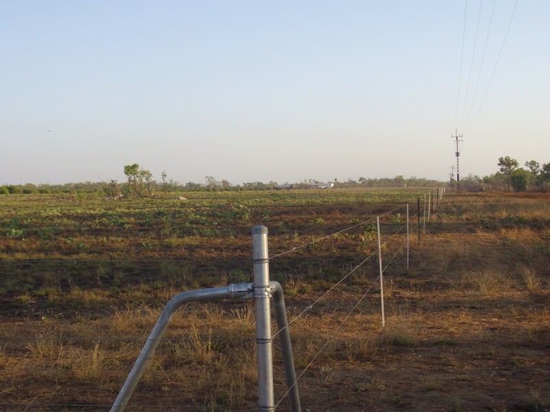 Lot 3010 Scott Road, Batchelor NT 0845