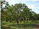 3009 SCOTT Road, Batchelor NT 0845