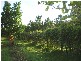 75 DICHONDRA ROAD, Howard Springs NT 0835