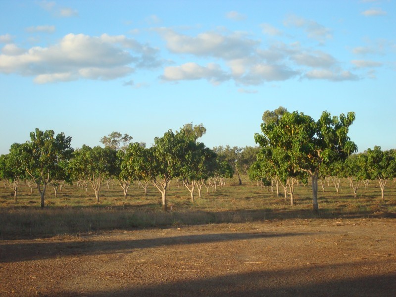 815 Milton Road, Stapleton, Adelaide River NT 0846