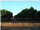 815 Milton Road, Stapleton, Adelaide River NT 0846