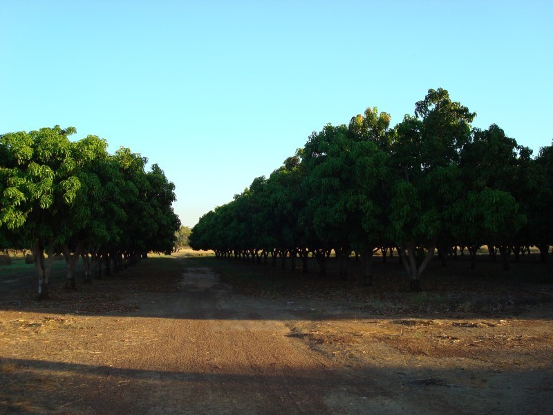 815 Milton Road, Stapleton, Adelaide River NT 0846