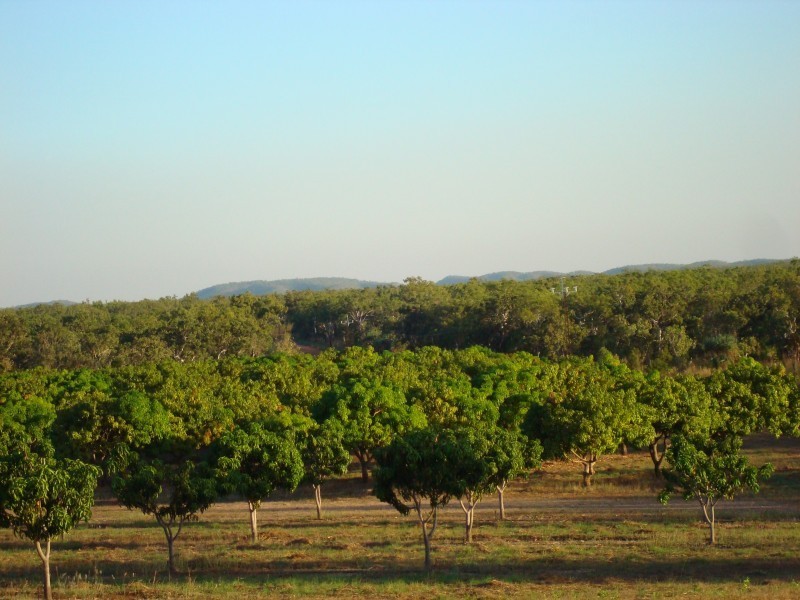 815 Milton Road, Stapleton, Adelaide River NT 0846