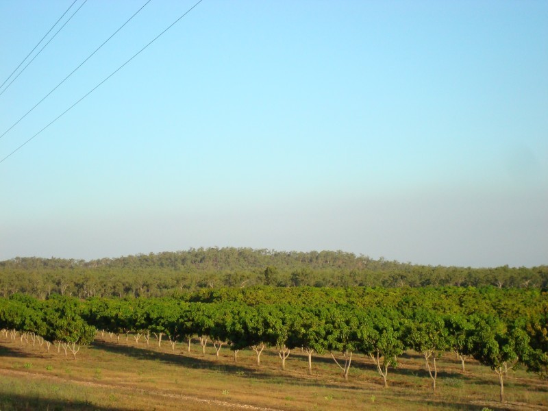 815 Milton Road, Stapleton, Adelaide River NT 0846