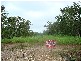 3933/281 Bees Creek Road, Bees Creek NT 0822