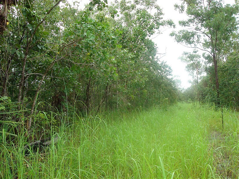 3933/281 Bees Creek Road, Bees Creek NT 0822