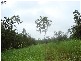 3933/281 Bees Creek Road, Bees Creek NT 0822