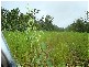 3933/281 Bees Creek Road, Bees Creek NT 0822