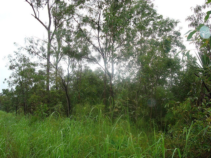 3933/281 Bees Creek Road, Bees Creek NT 0822