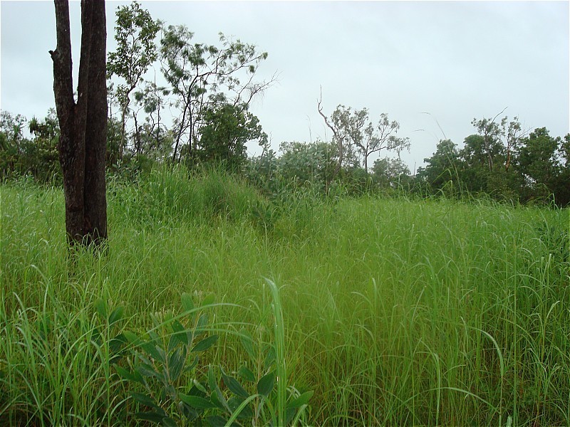 3933/281 Bees Creek Road, Bees Creek NT 0822