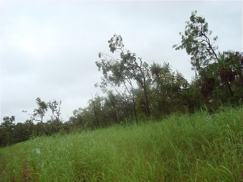 3933/281 Bees Creek Road, Bees Creek NT 0822