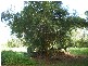 270 Lambells Lagoon Road, Lambells Lagoon NT 0822