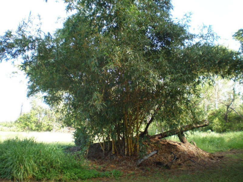 270 Lambells Lagoon Road, Lambells Lagoon NT 0822