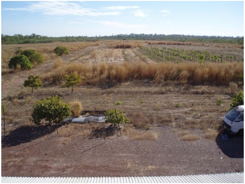 400 Peacock Road, Darwin River NT 0841