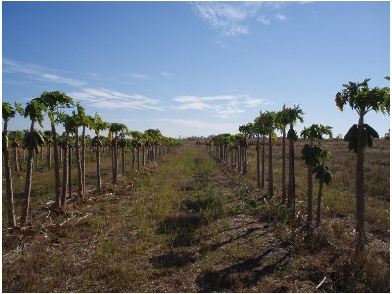 400 Peacock Road, Darwin River NT 0841