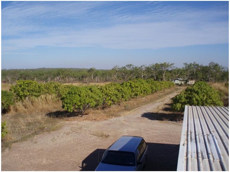 400 Peacock Road, Darwin River NT 0841