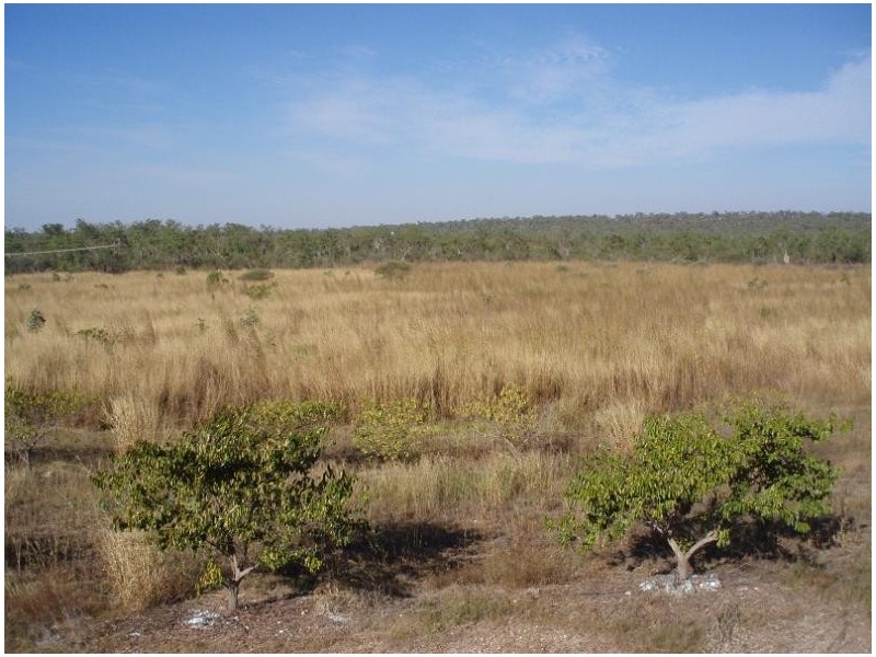 400 Peacock Road, Darwin River NT 0841