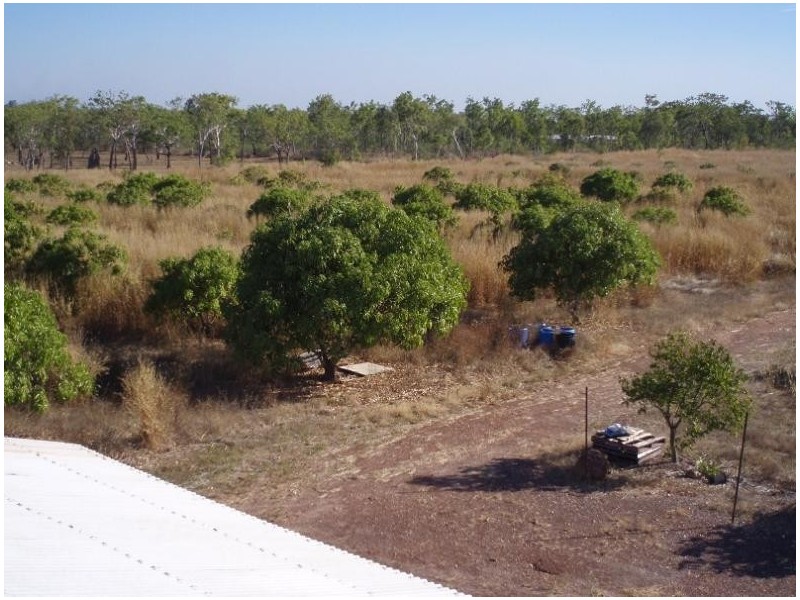 400 Peacock Road, Darwin River NT 0841