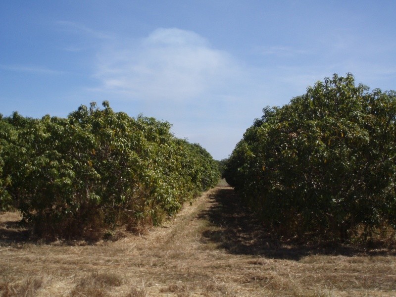 270 Golding Road, Acacia Hills NT 0822