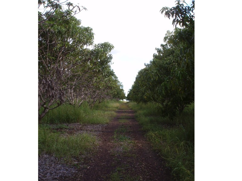 270 Golding Road, Acacia Hills NT 0822