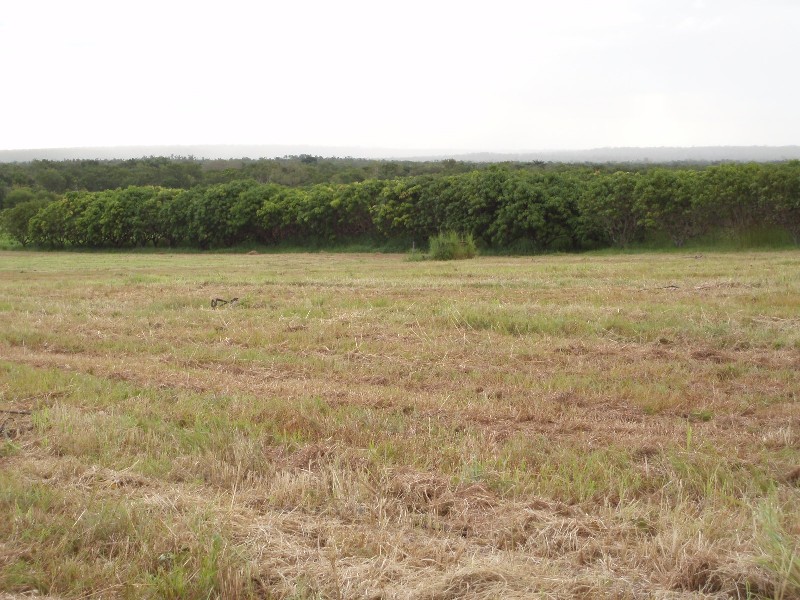 270 Golding Road, Acacia Hills NT 0822