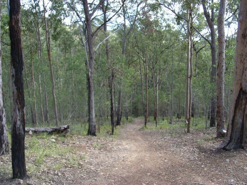 Advancetown QLD 4211