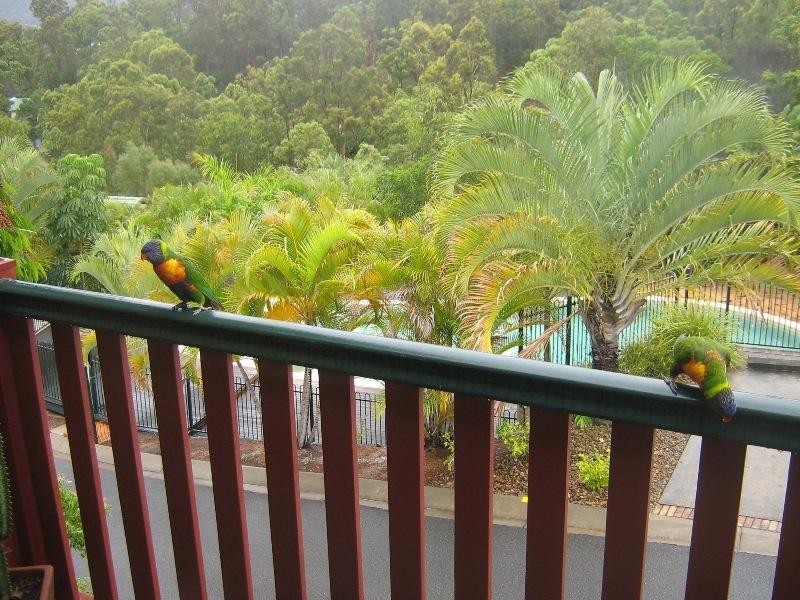 Highland Park QLD 4211