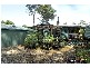 Springbrook QLD 4213