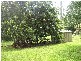Springbrook QLD 4213