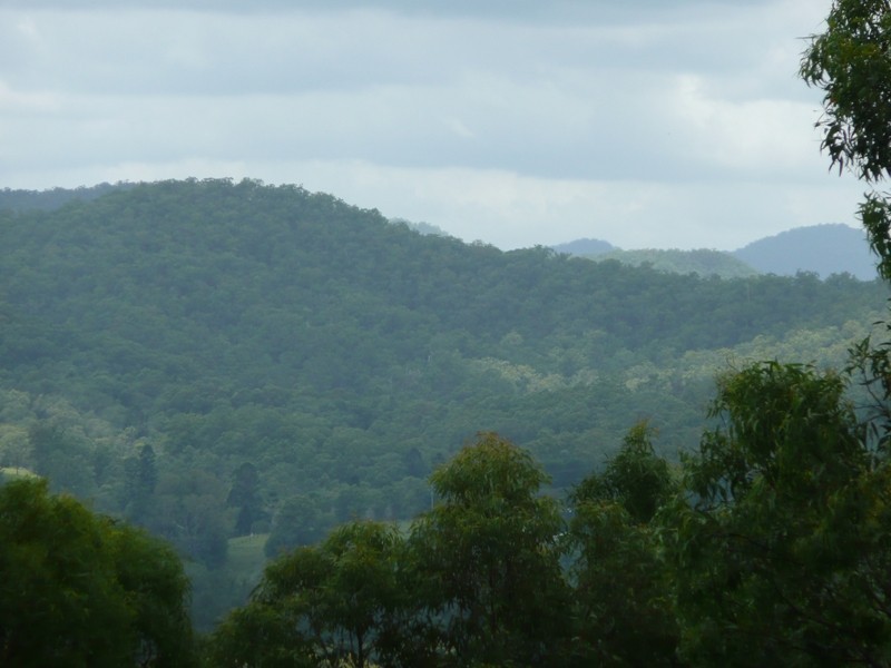 Advancetown QLD 4211