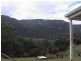 Numinbah Valley QLD 4211