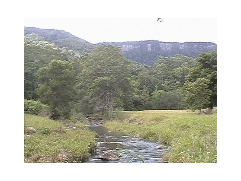 Numinbah Valley QLD 4211