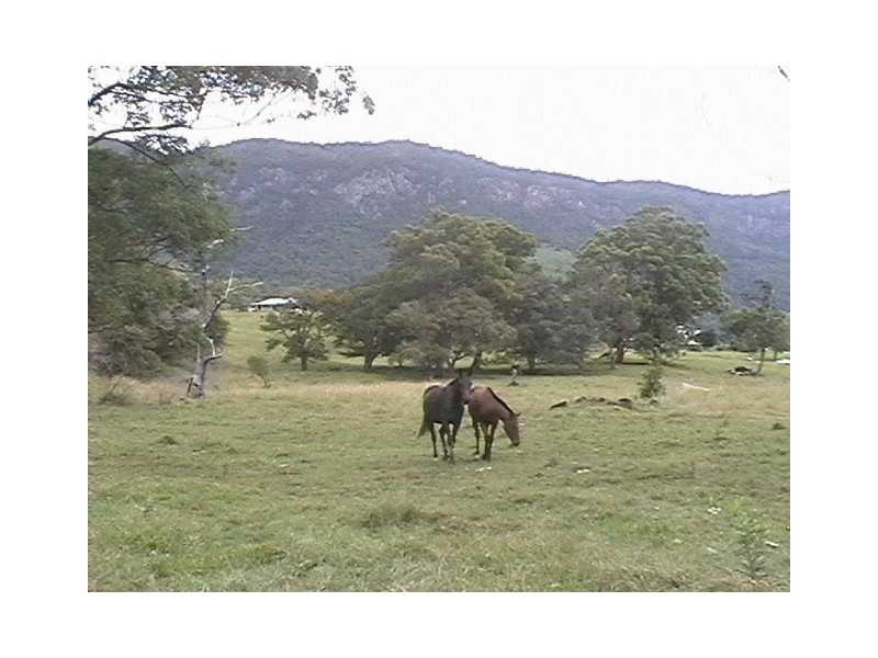 Numinbah Valley QLD 4211
