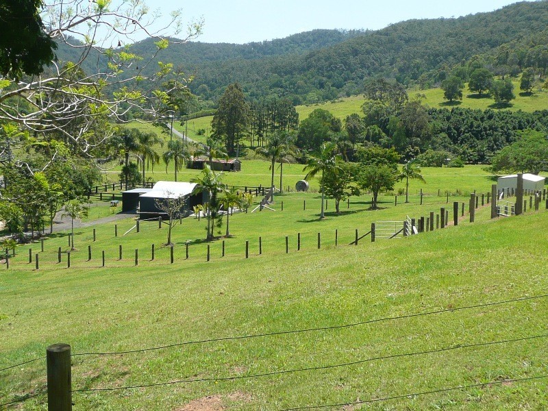 Wongawallan QLD 4210