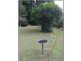 Canungra QLD 4275