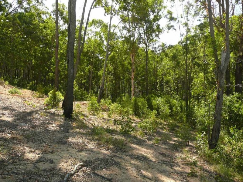 Upper Coomera QLD 4209