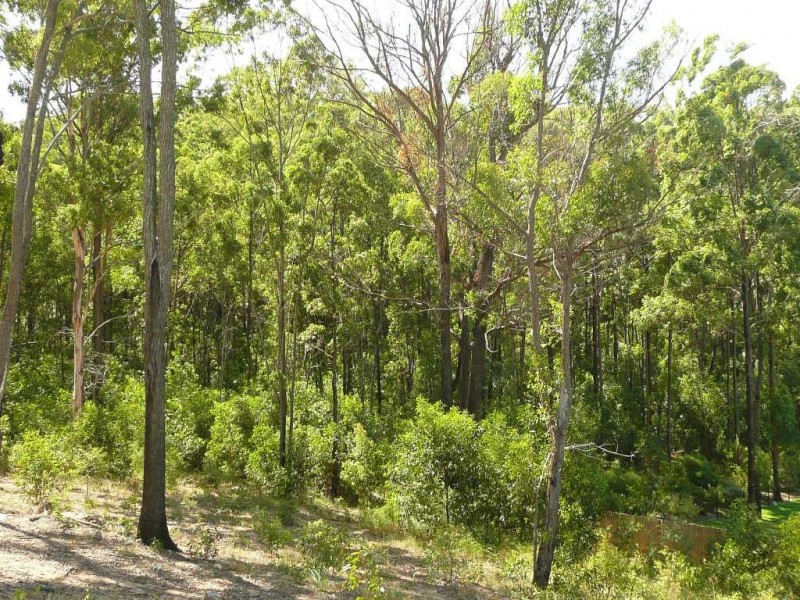 Upper Coomera QLD 4209